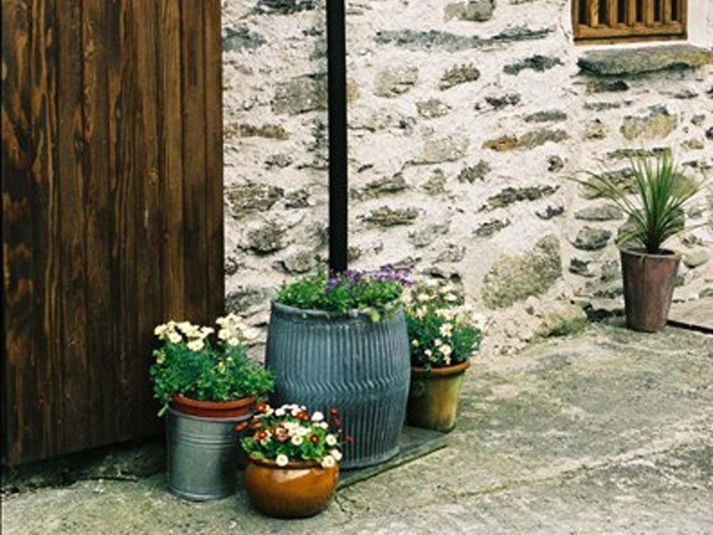 Plasglasgwm Betws-y-Coed Rum bild